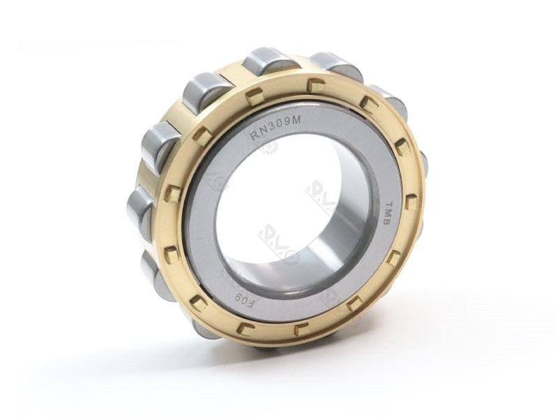 RN309M Cylindrical Roller Bearing