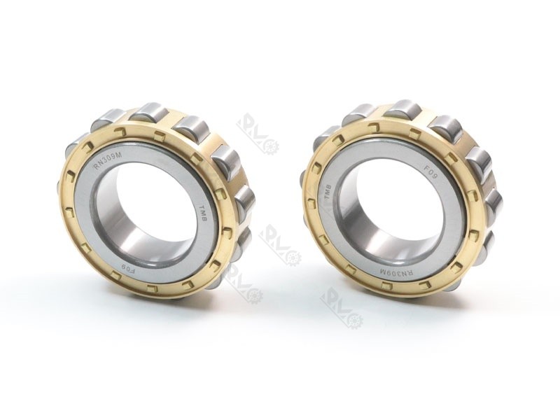 RN309M Chrome Steel Bearing
