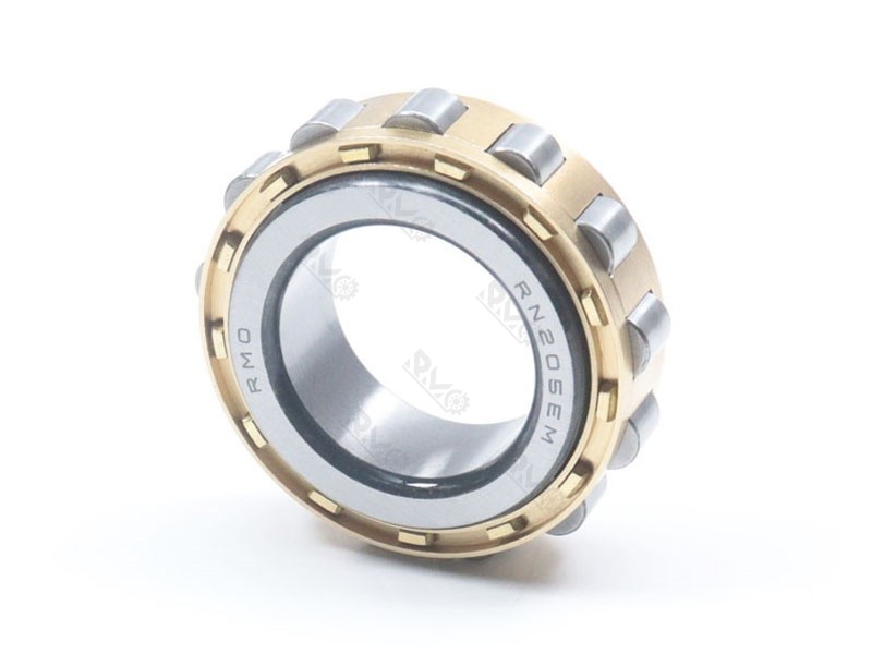 RN205EM Roller Bearing